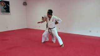 Shuto Mawashi Uke applied as a Throw • Karate amp Jujutsu Self Defense [upl. by Nitnilc]