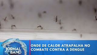 Onde de calor atrapalha no combate contra Ã dengue no Rio de Janeiro [upl. by Ycrad]