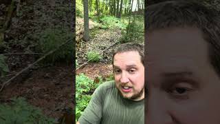 IMPORTANT Treestand Tip shorts treestand bowhunting deerhunting [upl. by Arrakat]