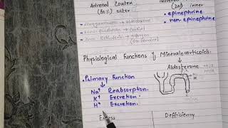 Physiological functions of adrenocortical hormones functions of aldosterone [upl. by Damiani502]