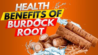 How Burdock Root Arctium Lappa Revitalizes Your Body Supercharge Your Detox [upl. by Rebmak]