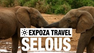 Selous Game Reserve Vacation Travel Video Guide [upl. by Cochrane]