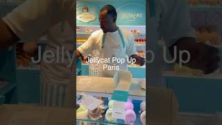 Jellycat Patisserie Pop Up Paris jellycat paris kawaii [upl. by Ettelocin816]