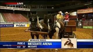 Mesquite Rodeo [upl. by Gabbi]