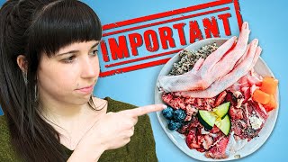 The Most Important Thing About Homemade Raw Diets for Pets ⚠️ [upl. by Anez]