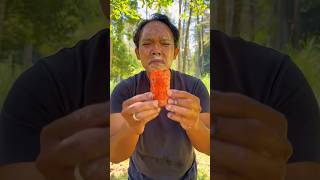 SIMPLE ideas you should knowcampinglifehacksurvival bushcraft outdoors848 [upl. by Nilyam907]