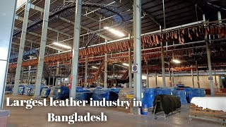 Largest Leather industry in Bangladesh  LEATHER MAKING PROCESS STEP BY STEP  Leather Factory 🏭 [upl. by Sonya]