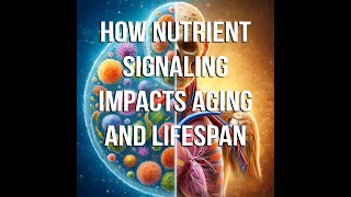 How Nutrient Signaling Impacts Aging and Lifespan [upl. by Rodge91]