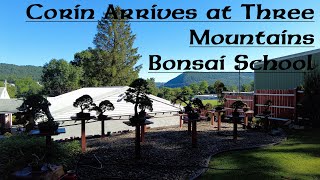 Corin arrives at Three Mountains Bonsai School with Sean Smith  Greenwood Bonsai Studio [upl. by Dalpe]