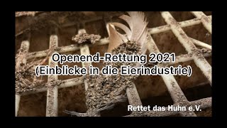 OpenendRettung 2021  Rettet das Huhn eV [upl. by Acimat]