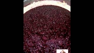 Vinification en rouge  macération [upl. by Eenet]