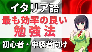 確実に上達するイタリア語勉強法【初心者・中級者】文法会話 [upl. by Aillimac478]