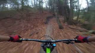 berms to sidewinder dh october 30 2024 eight laps after work [upl. by Lipkin]