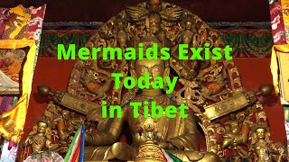 Mermaids Exist Today in Tibet [upl. by Etnom]