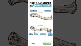 🔴👉 QUIZ DE ANATOMIA 🟨 Aula de Anatomia humana shorts [upl. by Dulciana]