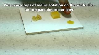 BIOLOGY 03  Iodine test on potato [upl. by Iona]