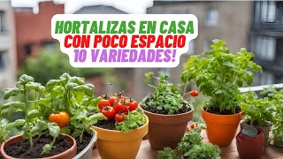 Hortalizas en Casa Guía para Cultivar 10 Variedades en tu Rincón Verde con poco espacio [upl. by Brenda52]