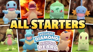 How to Find EVERY Starter Pokémon in Grand Underground  Brilliant Diamond and Shining Pearl Guide [upl. by Radford]