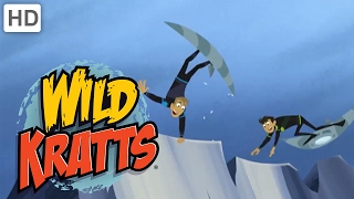 Wild Kratts  Animal Love [upl. by Romeon]