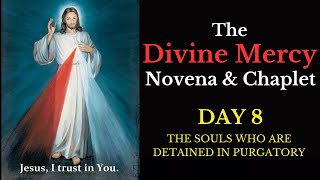 Divine Mercy Novena amp Chaplet  Day 8 [upl. by Neirol]