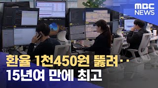 환율 1천450원 뚫려‥15년여 만에 최고 202412195시뉴스와경제MBC [upl. by Noxas]