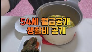 중소기업 30년 다닌 54세 직장인 월급공개 생활비 공개합니다 [upl. by Airamalegna142]