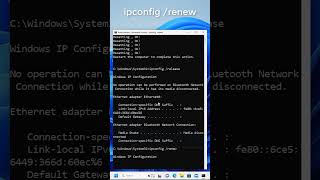 Fix Internet Problems in Windows [upl. by Erdrich582]