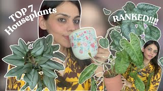 My Top 7 Favorite Rare Houseplants of Sept 2024 🌱  Ranked by Beauty amp Care 🌿 [upl. by Zerat678]