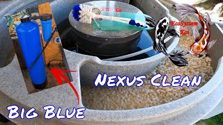 Nexus cleaning a look at Big Blue water PurifierDechlorinator Koi pond filter cleaning EZ Ponds [upl. by Sidnac]