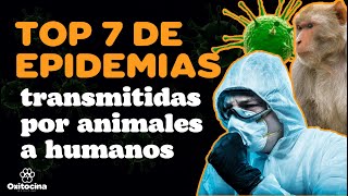 TOP 7 EPIDEMIAS TRANSMITIDAS POR ANIMALES [upl. by Pirbhai]