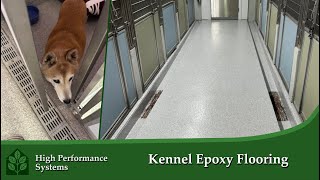 Dog Kennel Epoxy Flooring Safe Durable and Easy to Clean🐶 [upl. by Blisse]