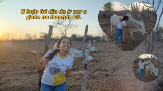 e formos ver a fazenda CL 2 TUDO ESTA ABENÇOADO 😍 leticiaesuavidanocampo [upl. by Anirbed]