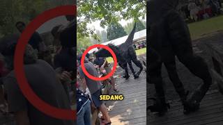 Penampakan dinosaurus di tempat wisata😱 [upl. by Stew]