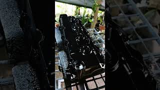 Hydrodip forged carbon process on the go highlightseveryone hydrodipping [upl. by Tammany]