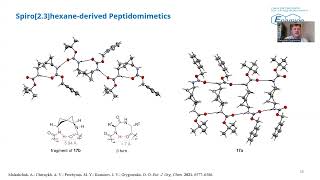 Recent advances on unnatural amino acids and their analogs at Enamine [upl. by Milly451]