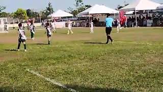 GOOL DO MURIEL CONTRA A TUNA EM CASTANHAL COPA GURI 16112024 [upl. by Laddie]