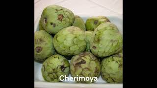 Cherimoya [upl. by Chessa203]