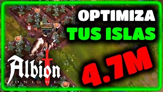 ¿Cómo OPTIMIZAR MIS ISLAS Wild Blood UPDATE 🏝️🤔  Albion Online [upl. by Sale]