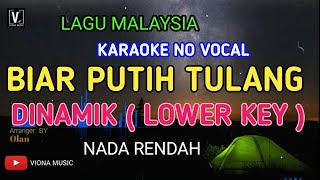 DINAMIK  BIAR PUTIH TULANG  JANGAN PUTIH MATA  KARAOKE  NO VOCAL  NADA RENDAH [upl. by Hershel]