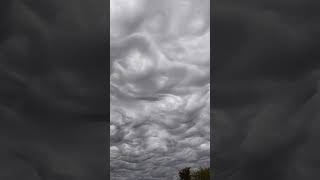 Asperatus Clouds shorts [upl. by Menken604]