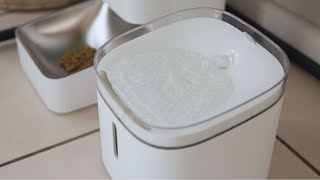 Xiaomi Pet Water Fountain [upl. by Pangaro856]