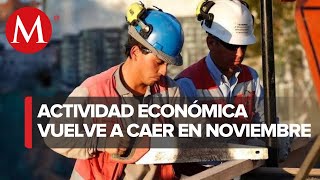 Actividad económica volvió a caer en noviembre de 2020 [upl. by Ivan611]