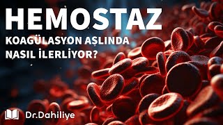 Hemostaz ve Koagülasyon Sistemi Temel ve Klinik bilgiler [upl. by Eelarual]