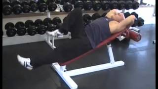 Abs Decline Bench Alternate Knee Raise Ab Muscles Using These Exercises [upl. by Yelahc]