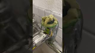 Mop Sink Repair New Vacuum Breaker [upl. by Keiko]