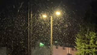 Big Snow Flakes Falling Fast  Pullman WA  11162024 [upl. by Stulin]