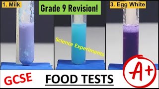 Food Tests  Biuret Benedicts Iodine  Emulsion BIOLOGY GCSE iGCSE Exam Revision  Updated [upl. by Adelaide]