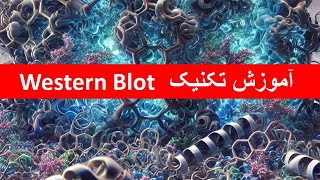 آموزش تکنیک وسترن بلات western blot [upl. by Ekenna]