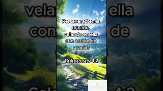 ✔¿Cómo se logran las cosas Perseverando y siendo agradecidos💪🙌 Colosenses 42  Dios te bendiga😊 [upl. by Landing]