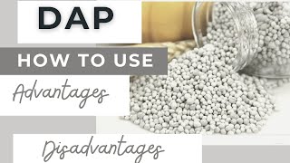 how to use DAP  what is DAP  DAP fertilizer  advantages of DAP  disadvantages of DAP [upl. by Elik194]